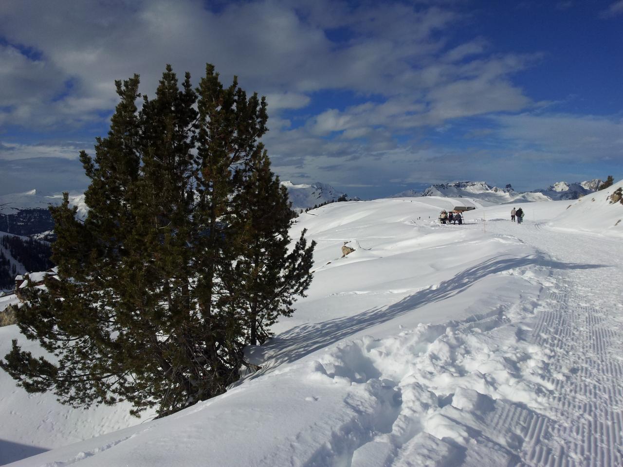 Plateau du Dou du Praz Savoie La Plagne