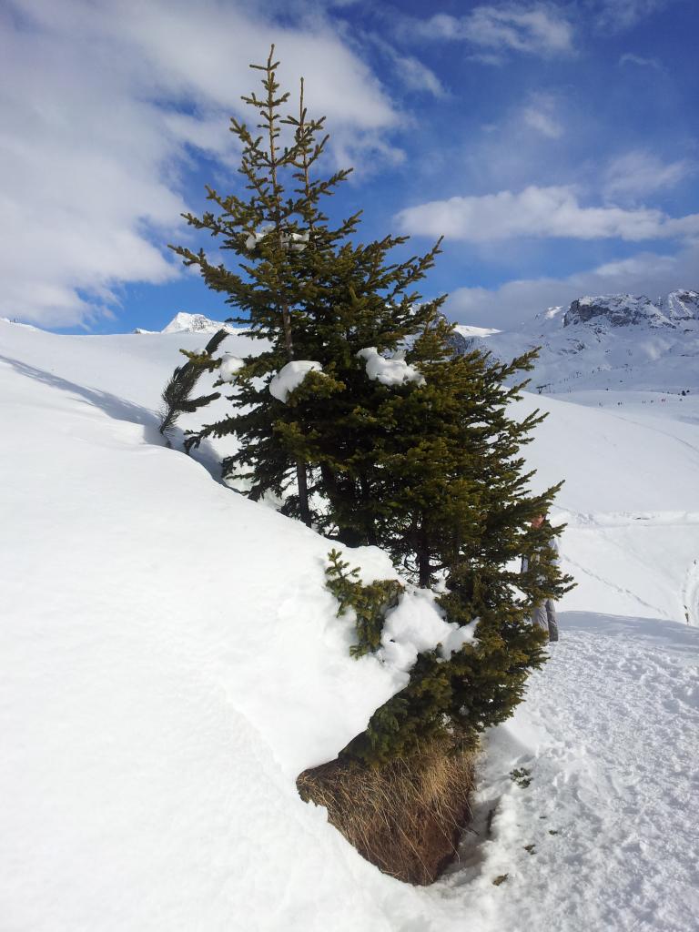 Plateau du Dou du Praz Savoie La Plagne