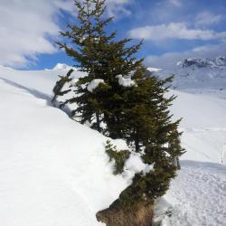 Plateau du Dou du Praz Savoie La Plagne