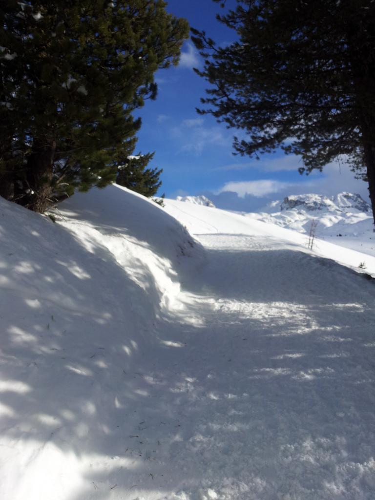 Plateau du Dou du Praz Savoie La Plagne