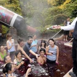 Fête du Beaujolais nouveau