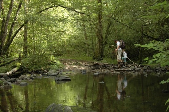 Séjours randonnées et photo