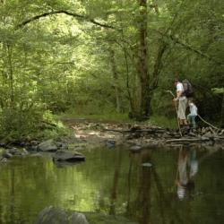 Séjours randonnées et photo