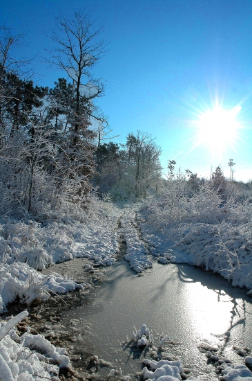 Séjours dans l'Ubaye