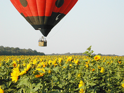 Journée découverte montgolfière