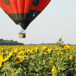 Journée découverte montgolfière