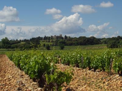 chateau-neuf-du-pape.jpg