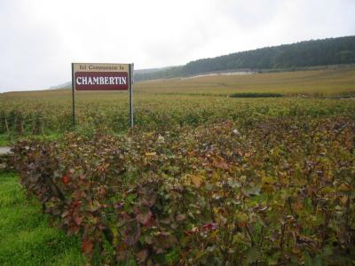 le-chambertin-a-gevrey-chambertin.jpg