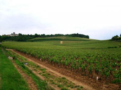 le-mercurey-premier-cru-clos-du-roi.jpg