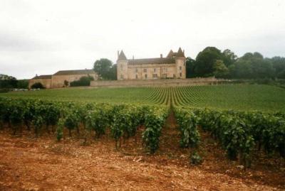 le-vignoble-de-rully-et-son-chateau.jpg